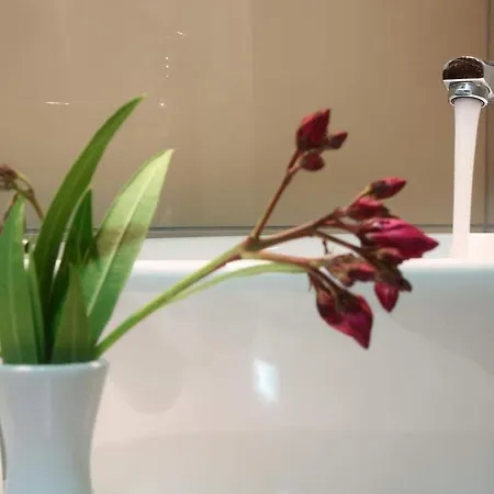 فندق مبيت وإفطار Reyhan قرابورون