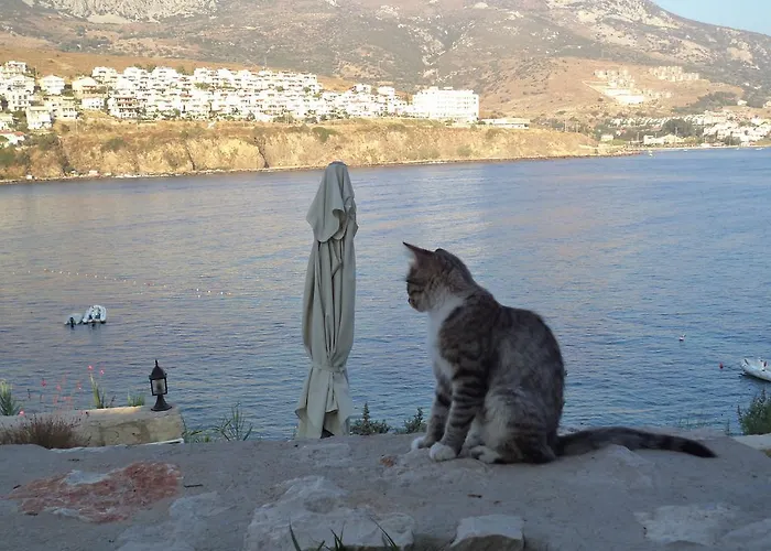 Reyhan Oda ve Kahvaltı Karaburun (Izmir)