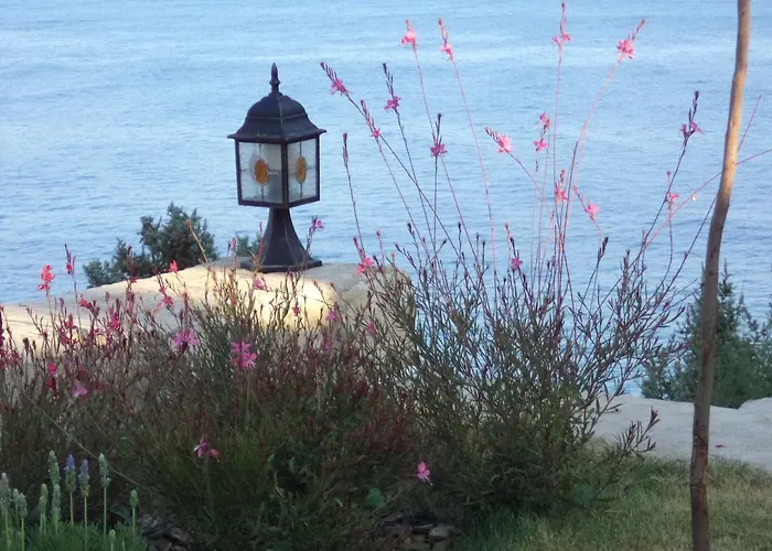 Reyhan קרבורון