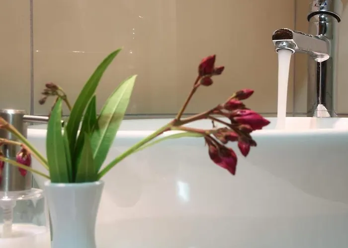 Oda ve Kahvaltı Reyhan Karaburun (Izmir)