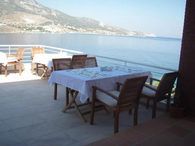 Reyhan קרבורון