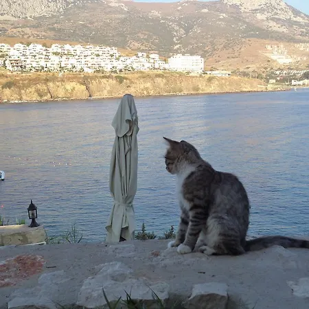 Reyhan Couette-café Karaburun (Izmir)