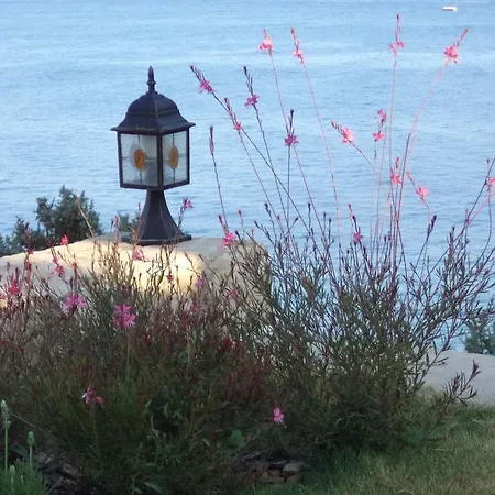 Reyhan Karaburun (Izmir)